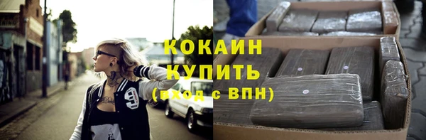 тгк Каменка