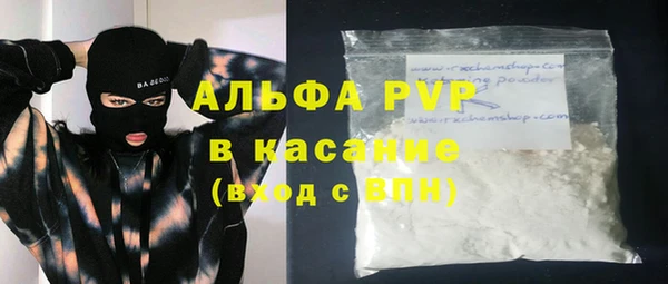 тгк Каменка