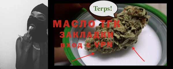 тгк Каменка