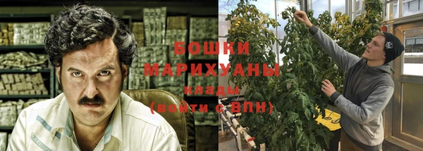 тгк Каменка