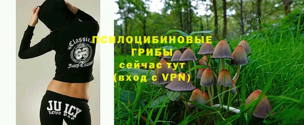 эйфоретик Каменногорск