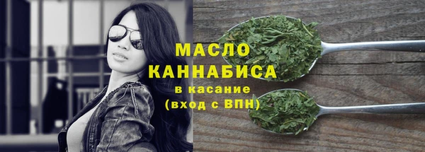 тгк Каменка