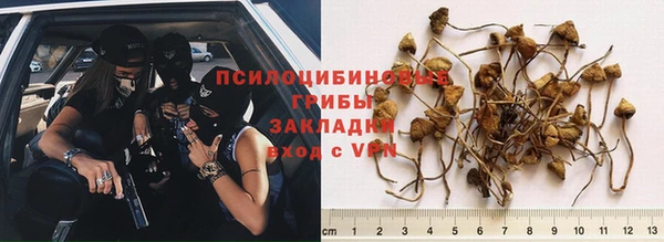 эйфоретик Каменногорск