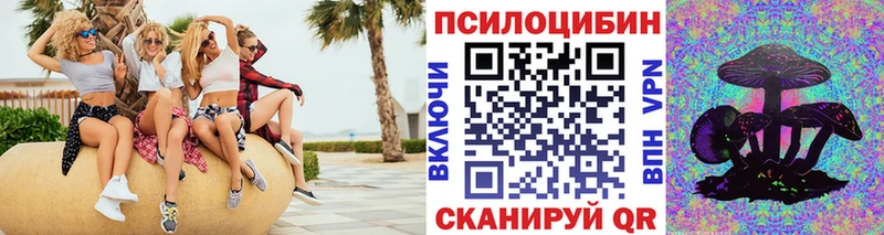Купить где  Нелидово  Псилоцибиновые грибы ЛСД 