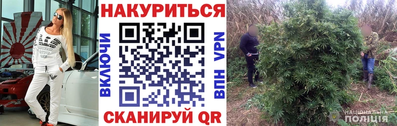 Бошки марихуана MAZAR  Купить где  Нелидово 